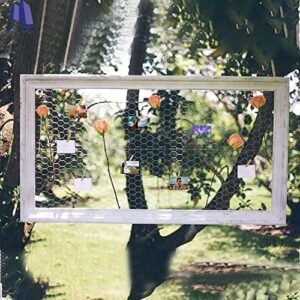 Royal Apex 40mtr Chicken Wire Net Galvanised Hexagonal Hardware Mesh Poultry Netting Fence for Chicken, Rabbit, Vegetables & Garden Protection Netting and Multipurpose Use Etc… (3/4inch Gap)